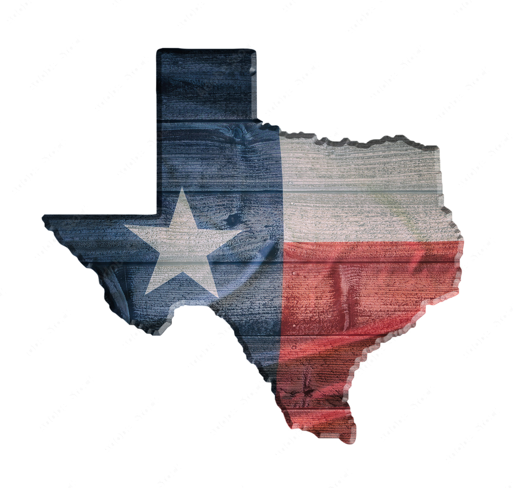 Texas state img